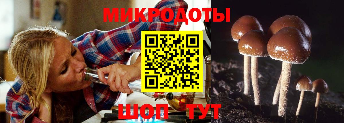 Псилоцибиновые грибы Psilocybe  Вход с VPN  Галлюциногенные грибы ЛСД  Зеленокумск 
